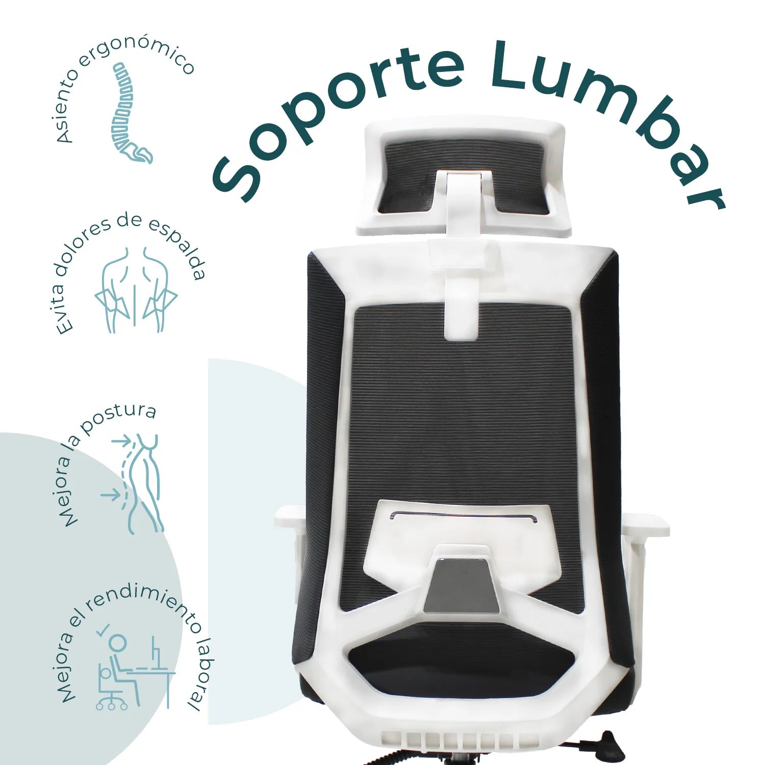 Silla Directiva Carrara W