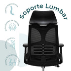 Silla Directiva Ferrara