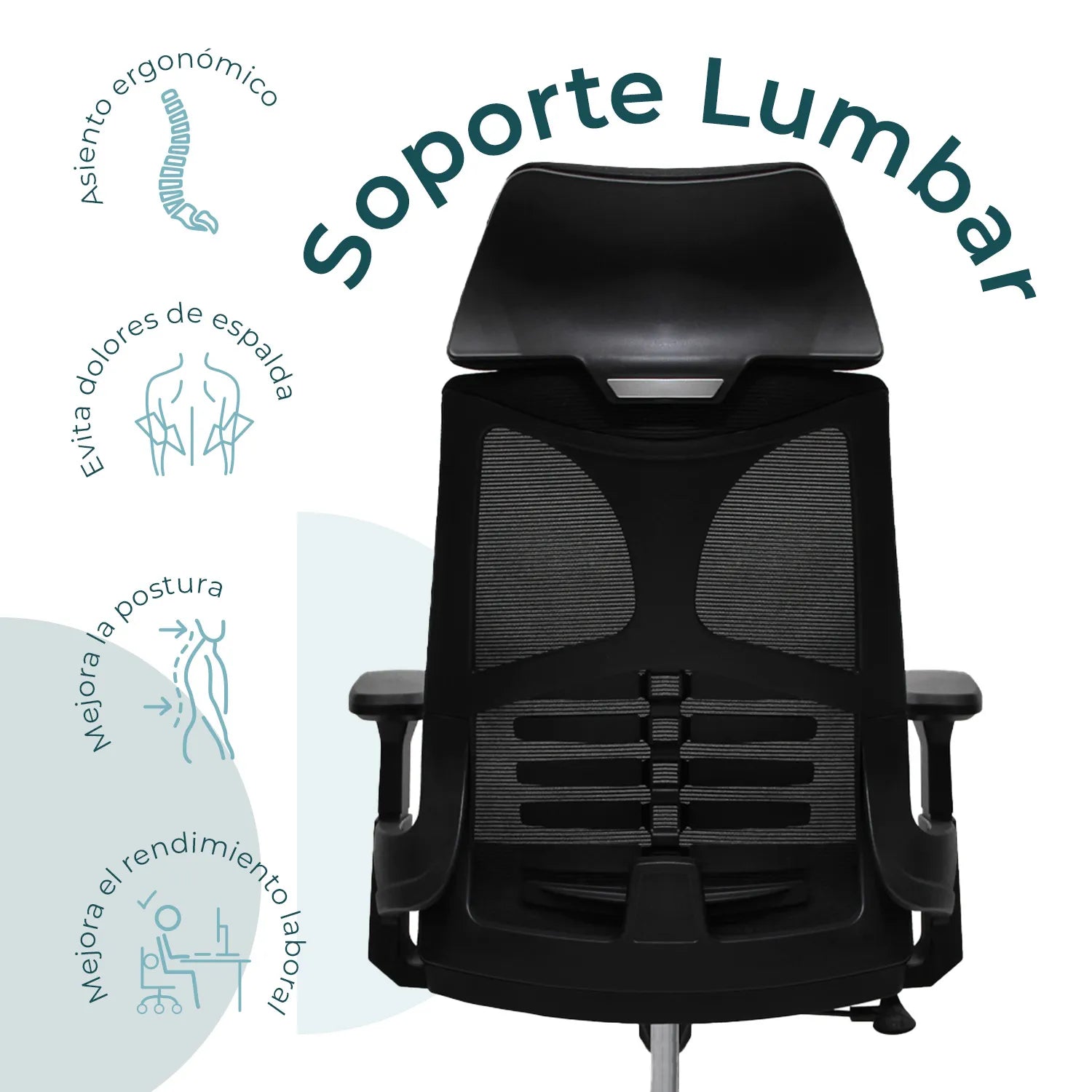 Silla Directiva Ferrara