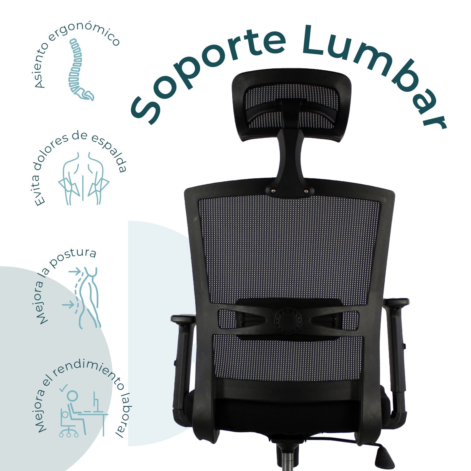 Silla Directiva Bilbao