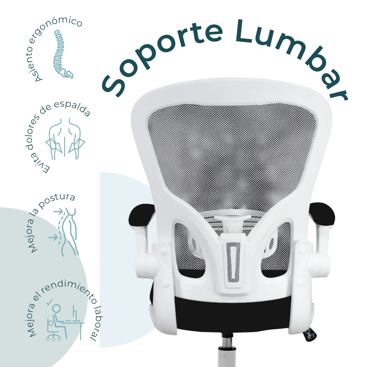 Silla Ejecutiva Vest