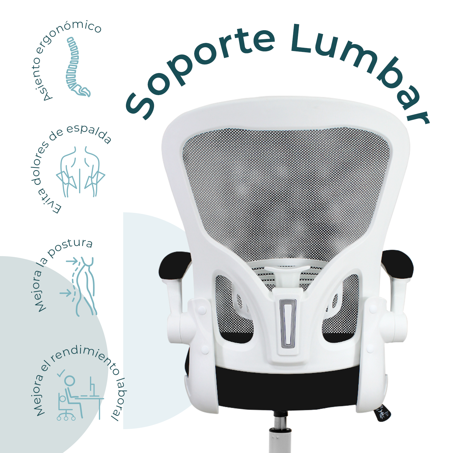 Silla Ejecutiva Vest