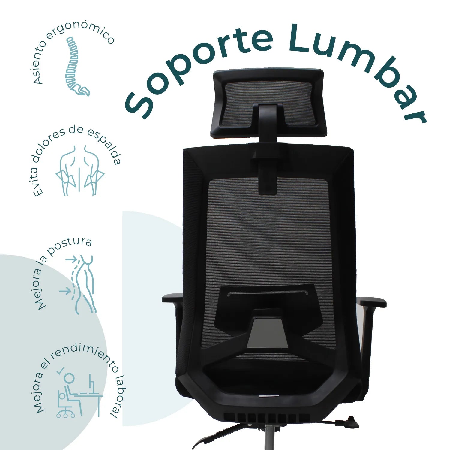 Sillón Directiva Carrara A