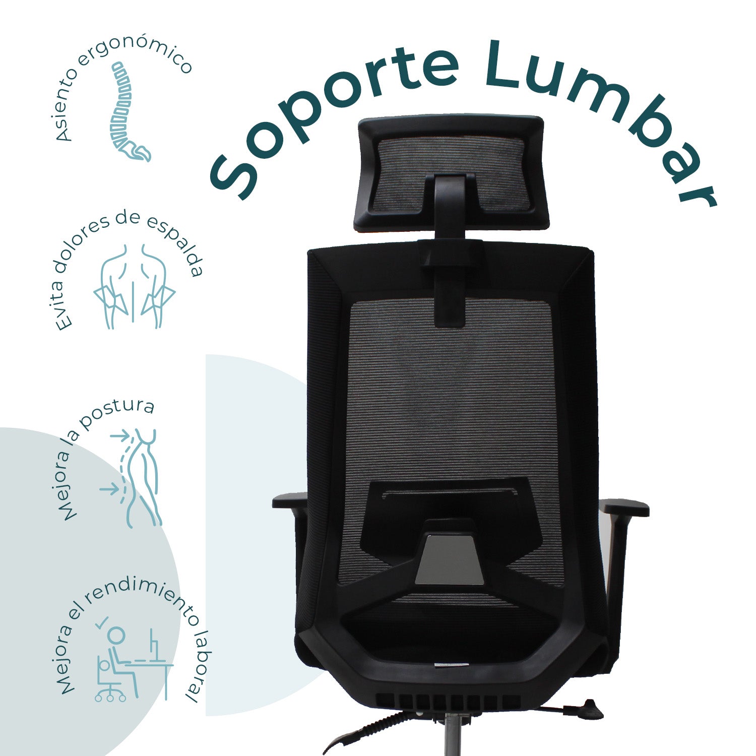 Sillón Directiva Carrara A