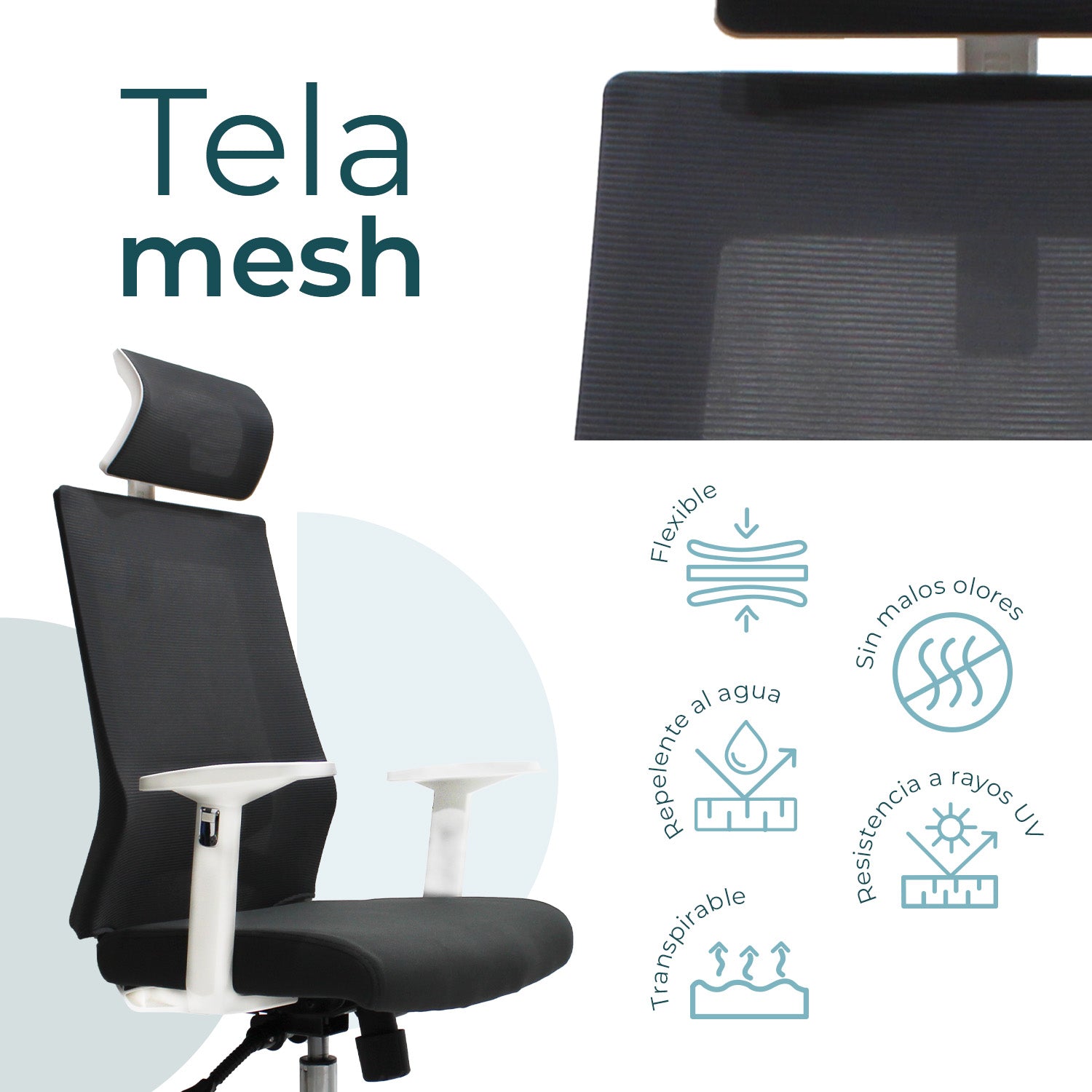 Silla Directiva Carrara W