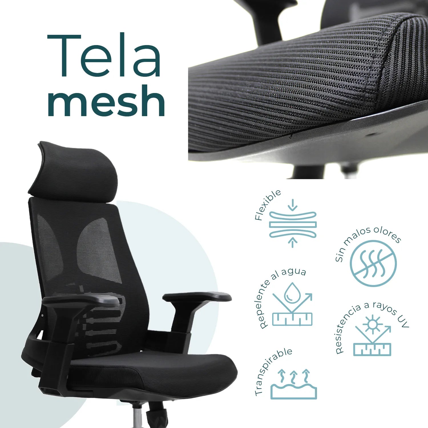 Silla Directiva Ferrara