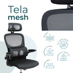 Silla Directiva Bessan 8373