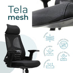 Silla Directiva Ferrara