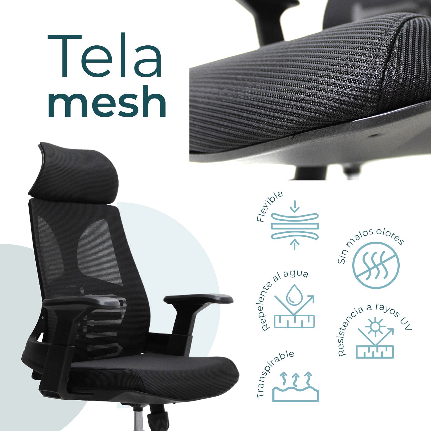 Silla Directiva Ferrara