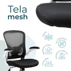 Silla Ejecutiva Vest