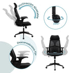 Silla Directiva Ferrara