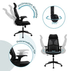 Silla Directiva Ferrara