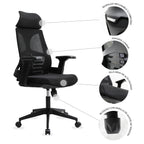 Silla Directiva Ferrara