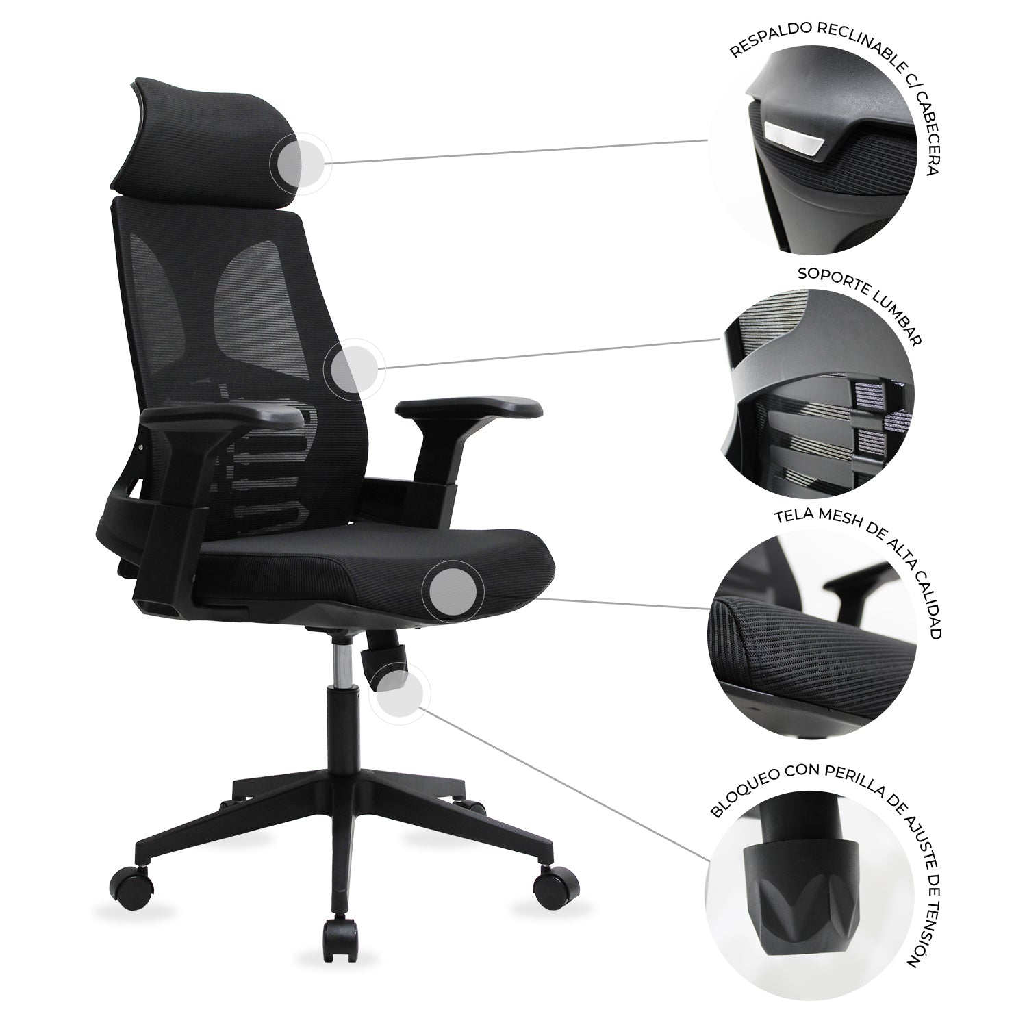 Silla Directiva Ferrara