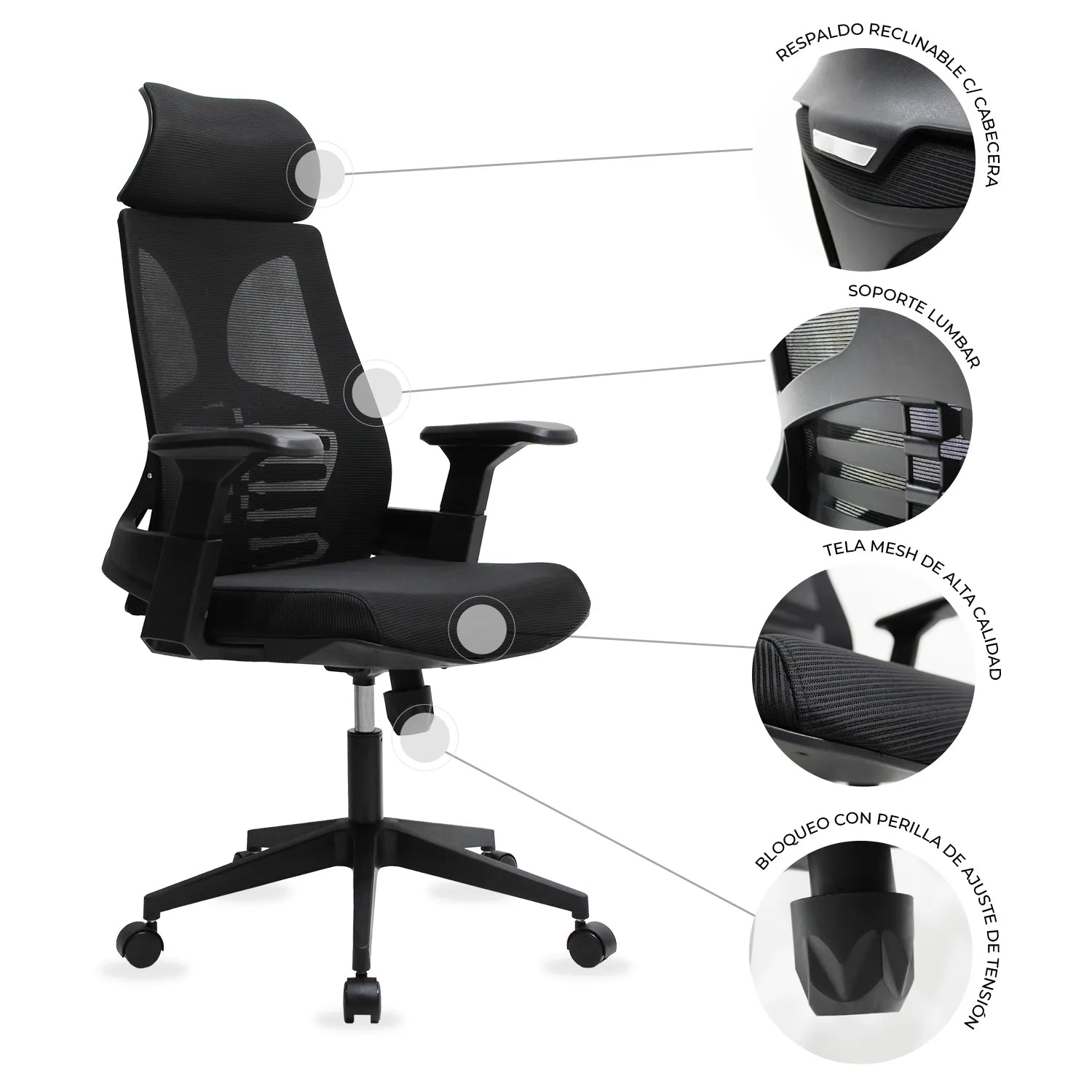 Silla Directiva Ferrara