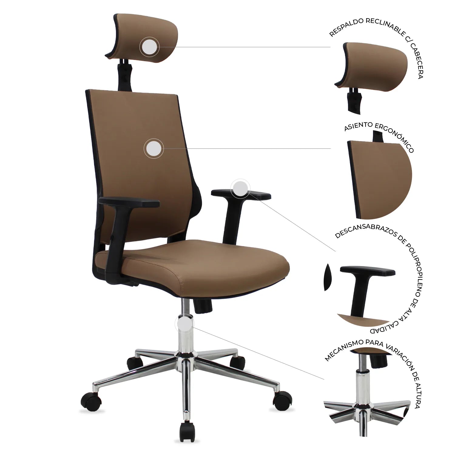 Silla Directiva Lugo