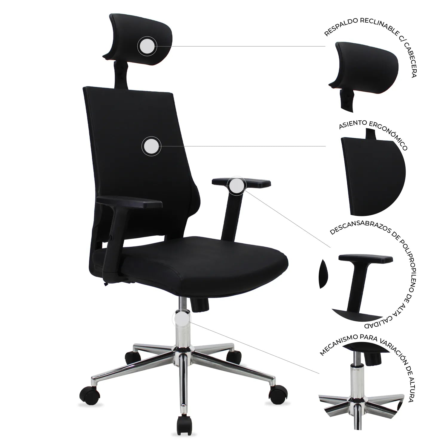 Silla Directiva Lugo