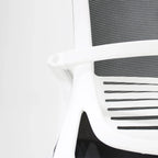 Silla Directiva Cardona 249WA