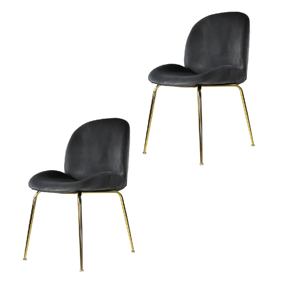 Set de 2 sillas Treviso