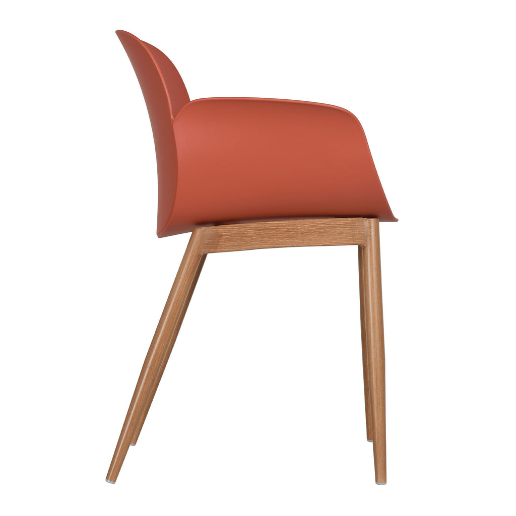 Set de 4 Sillas Mantova - MUNDO IN