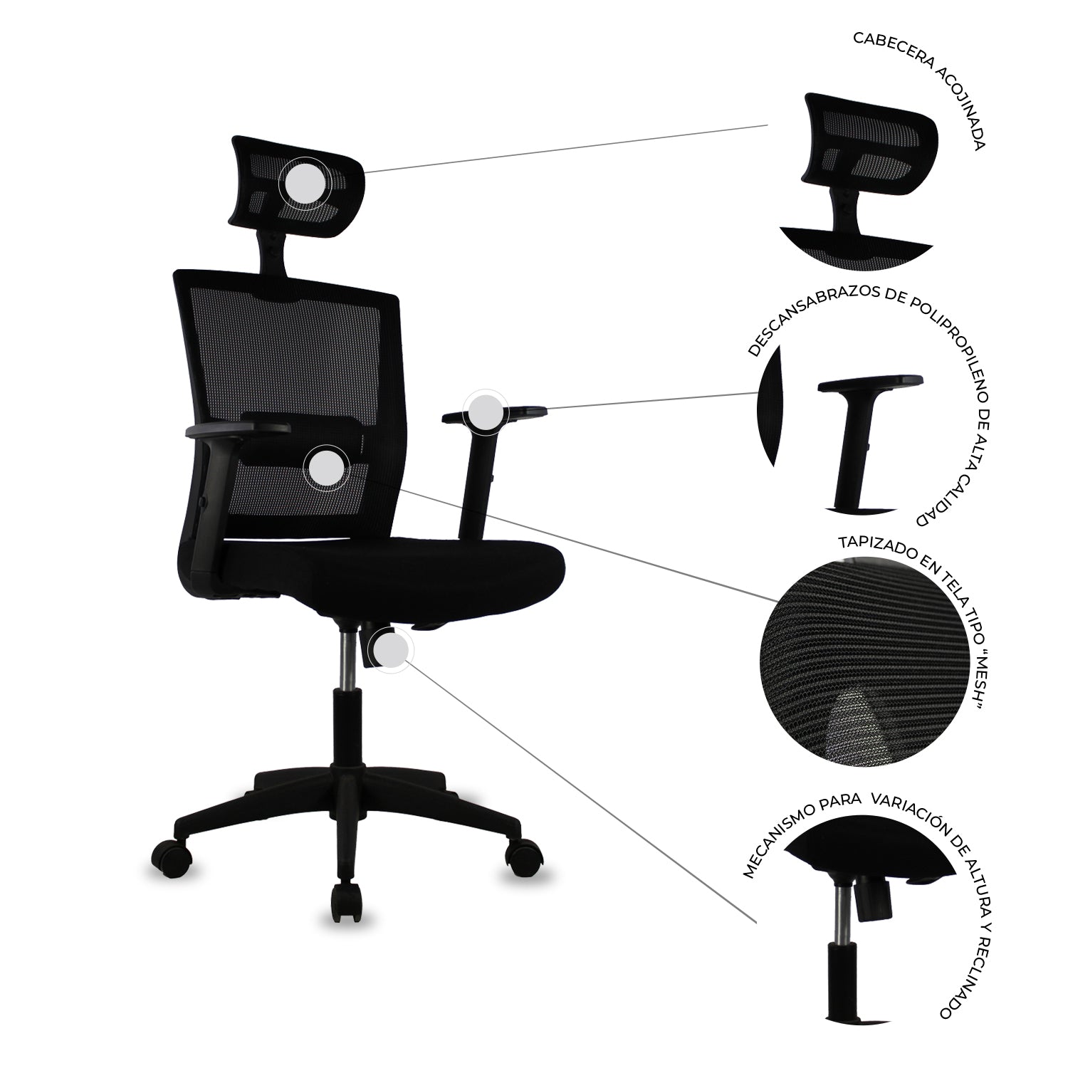 Silla Directiva Bilbao - MUNDO IN