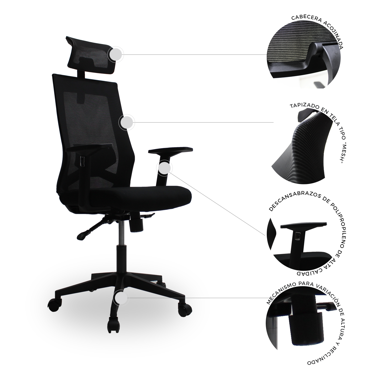 Sillón Directiva Carrara A - MUNDO IN