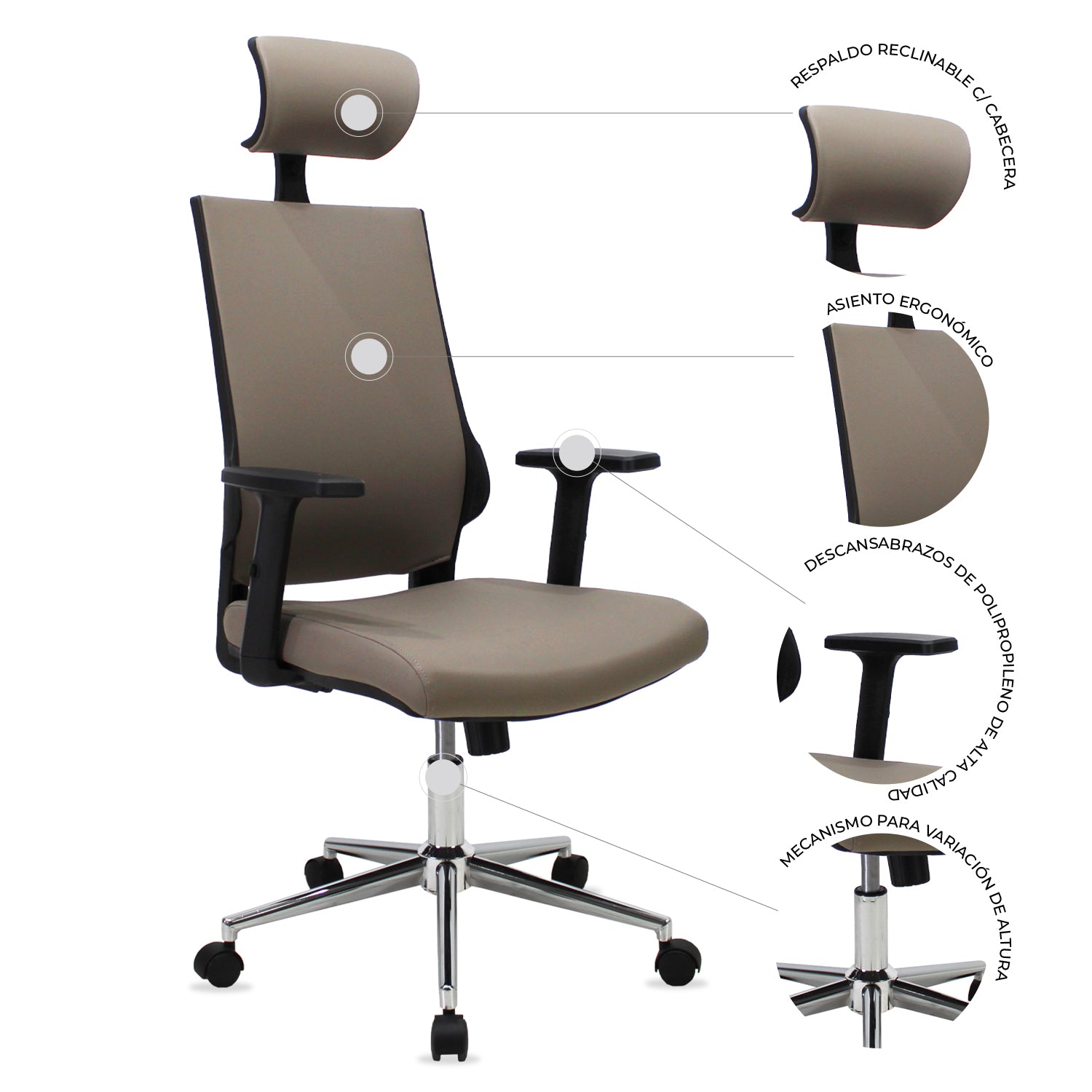 Silla Directiva Lugo