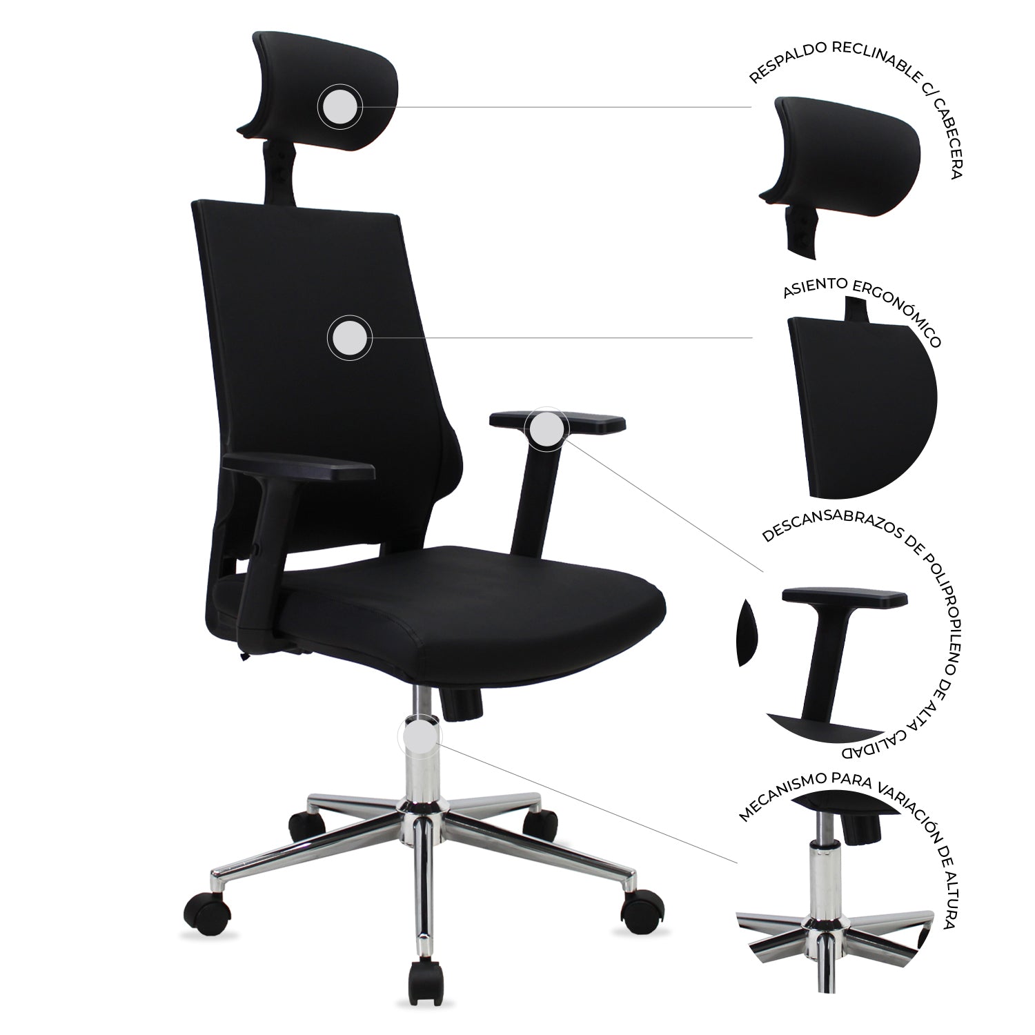 Silla Directiva Lugo