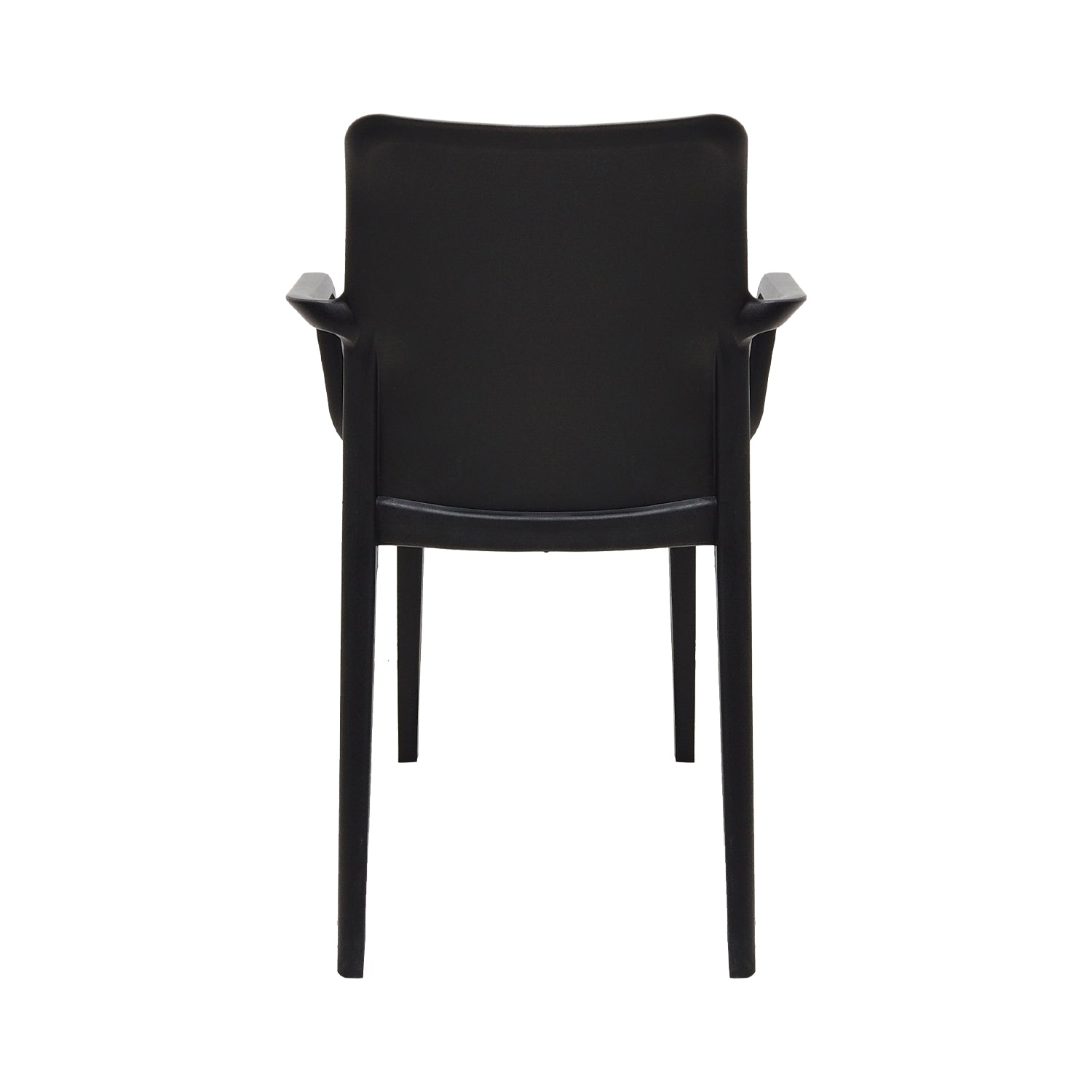 Silla Biella con brazos - MUNDO IN