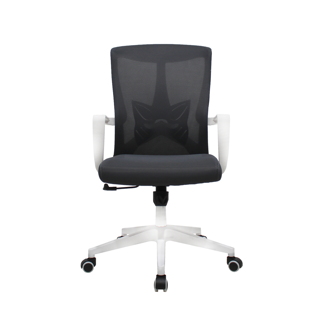 Silla perugia 240BW - MUNDO IN