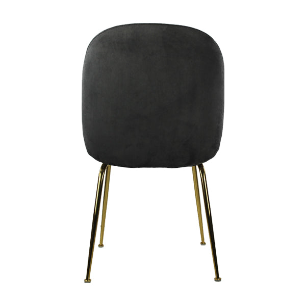 Silla Treviso - MUNDO IN