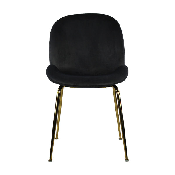 Silla Treviso - MUNDO IN